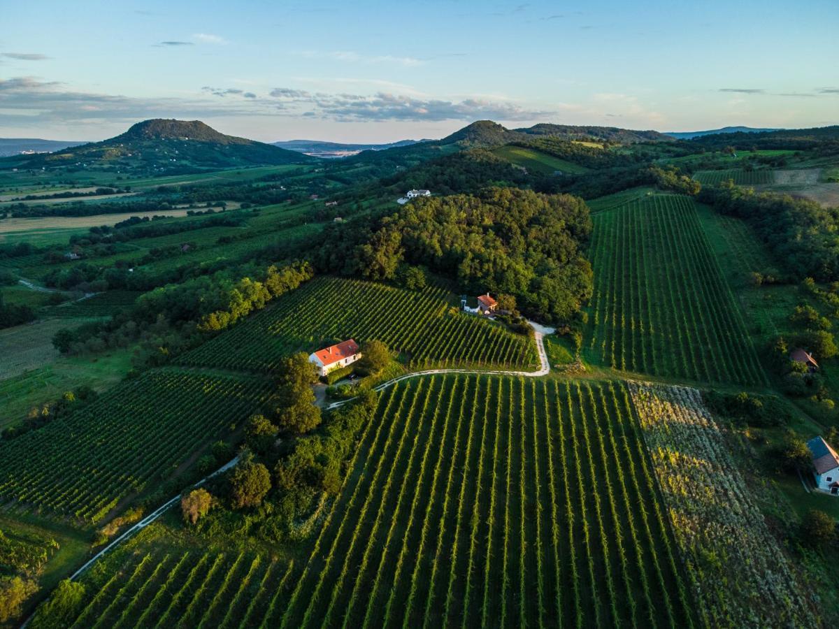 Willa Kali Panorama Birtok Mindszentkálla Zewnętrze zdjęcie